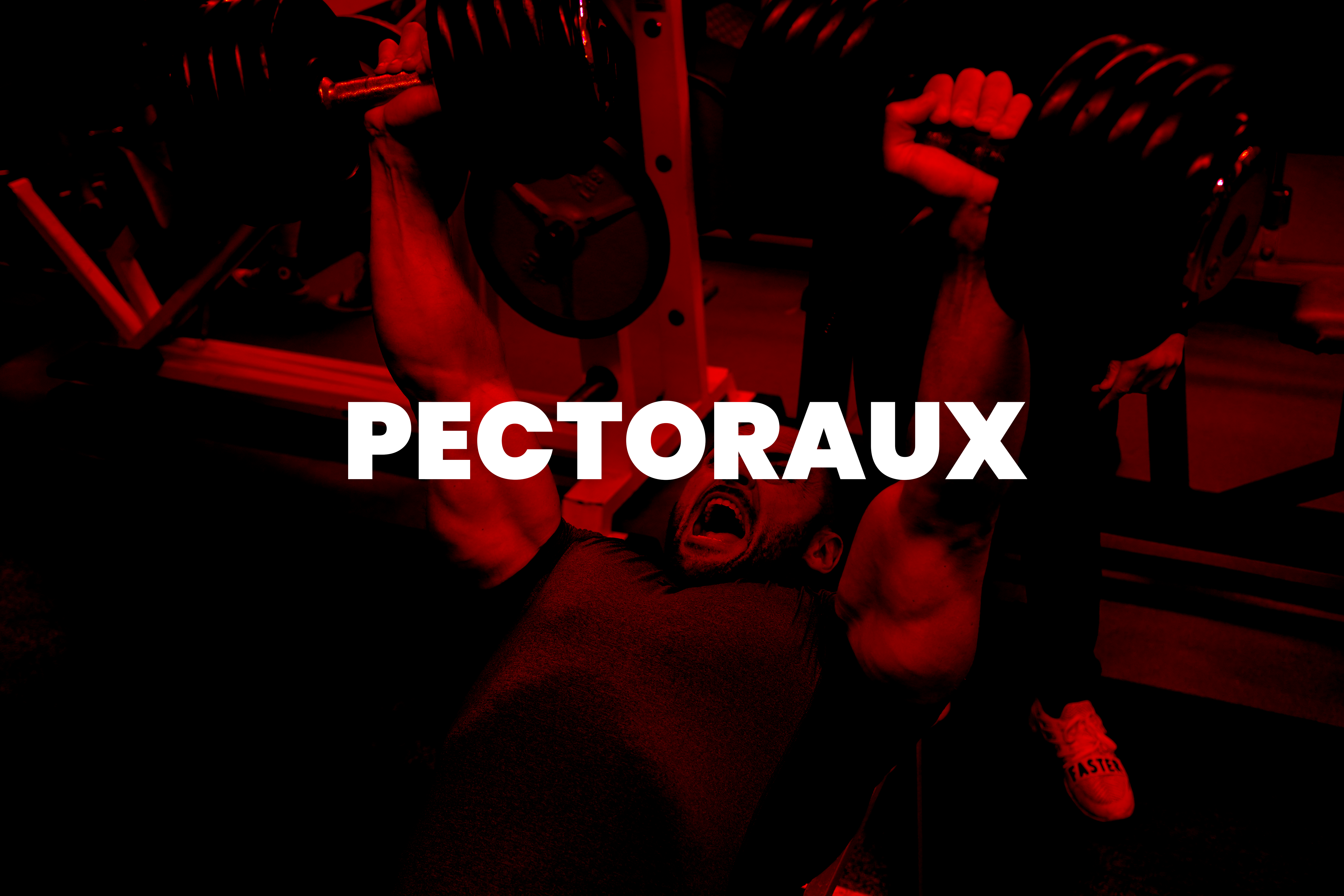 CHEST WORKOUTS | TOUS LES ENTRAÎNEMENTS DE PECTORAUX