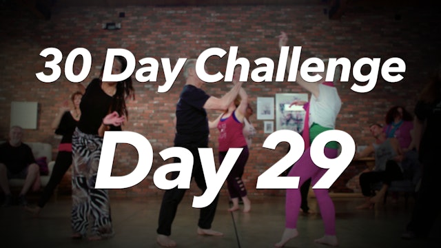 30 Day Challenge - Day 29 Workout