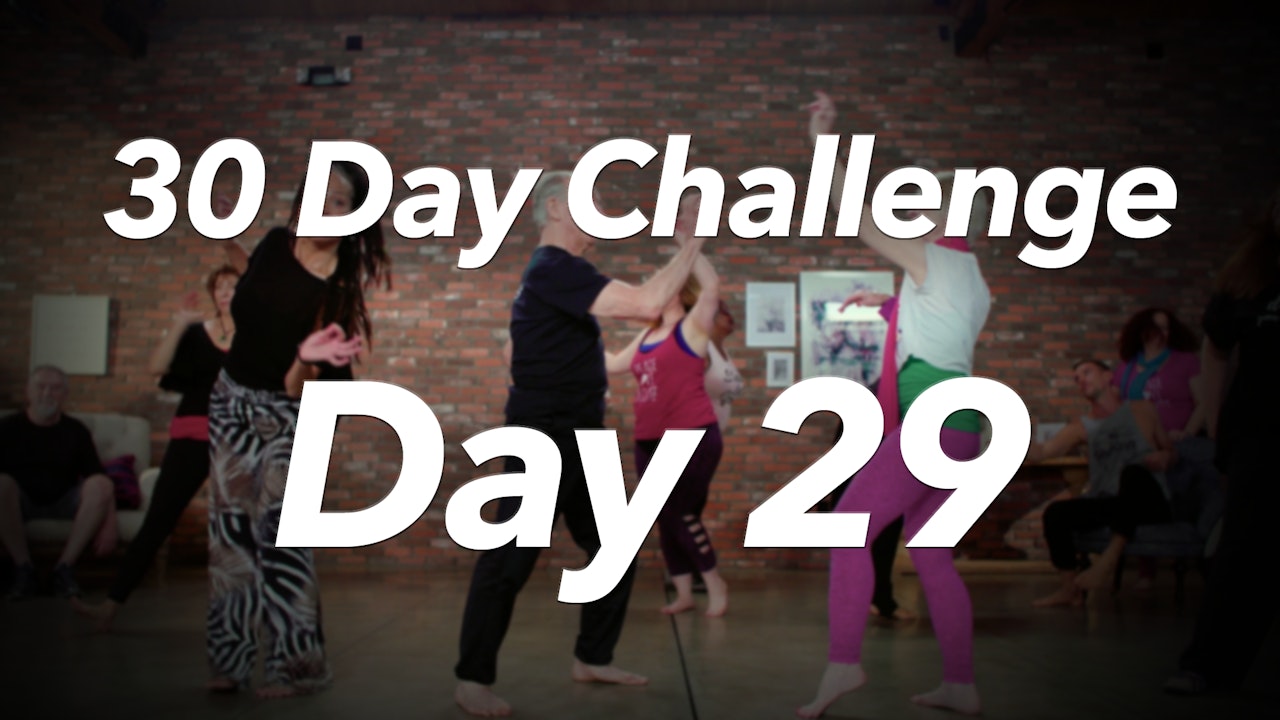 30 Day Challenge - Day 29