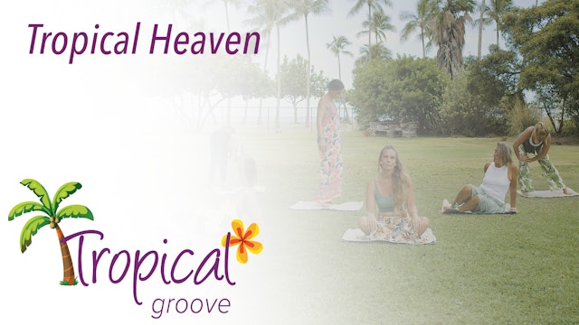 Tropical Groove - Tropical Heaven