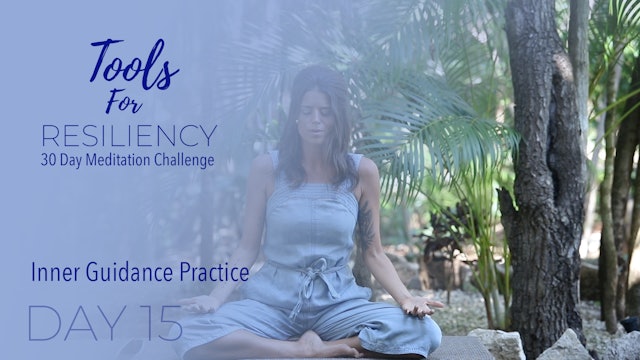 Day 15 - Inner Guidance Practice