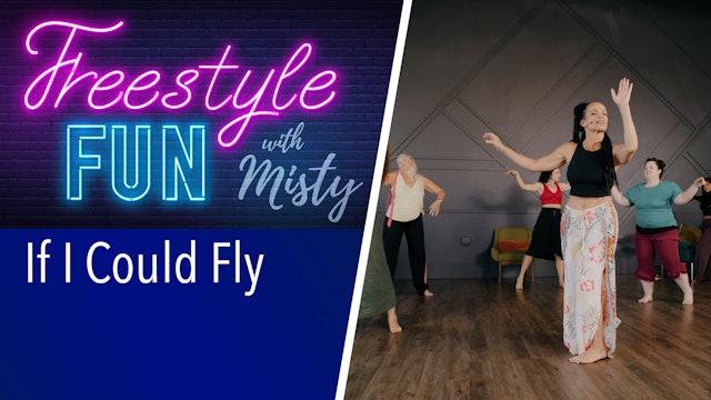 Freestyle Fun - If I Could Fly