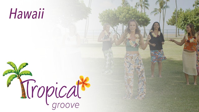 Tropical Groove - Hawaii