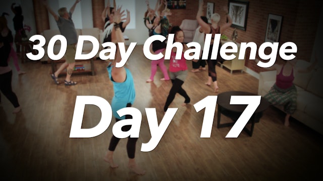 30 Day Challenge - Day 17 Workout