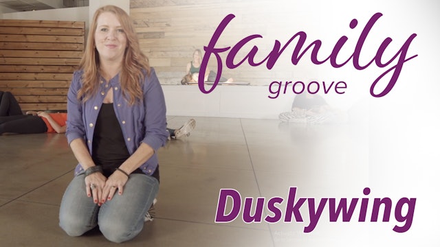Family Groove - Duskywing
