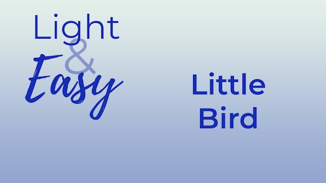 Light & Easy - Little Bird