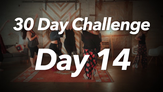 30 Day Challenge - Day 14 Workout