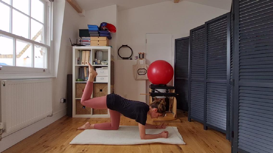 Exercise of the Week 13 - Glute work Four point kneeling