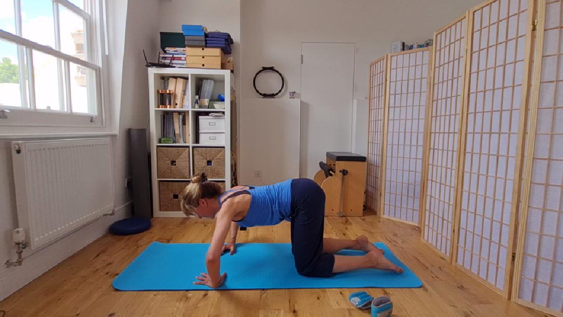 20' - Easy-ish Arms and Chest Workout Part 2