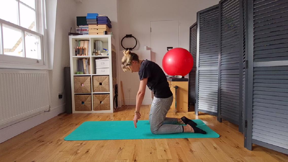Exercise of the Week 7 - Cat into Highkneeling