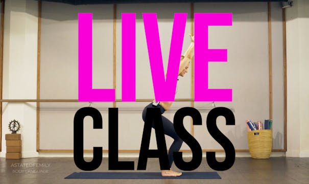 LIVE class 3/28/21 - Yoga Vinyasa Flow Level 2