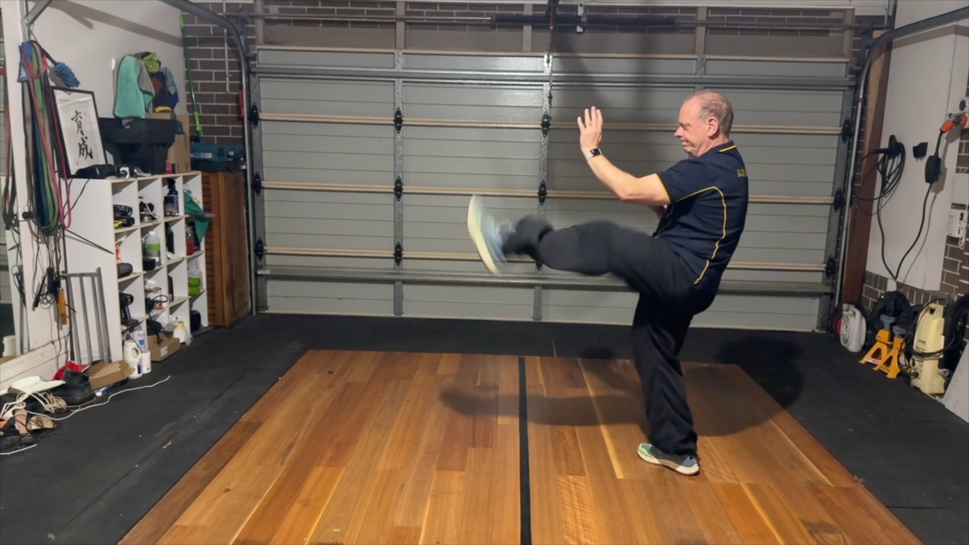 Kihon - tenshin o jyu - with kicks