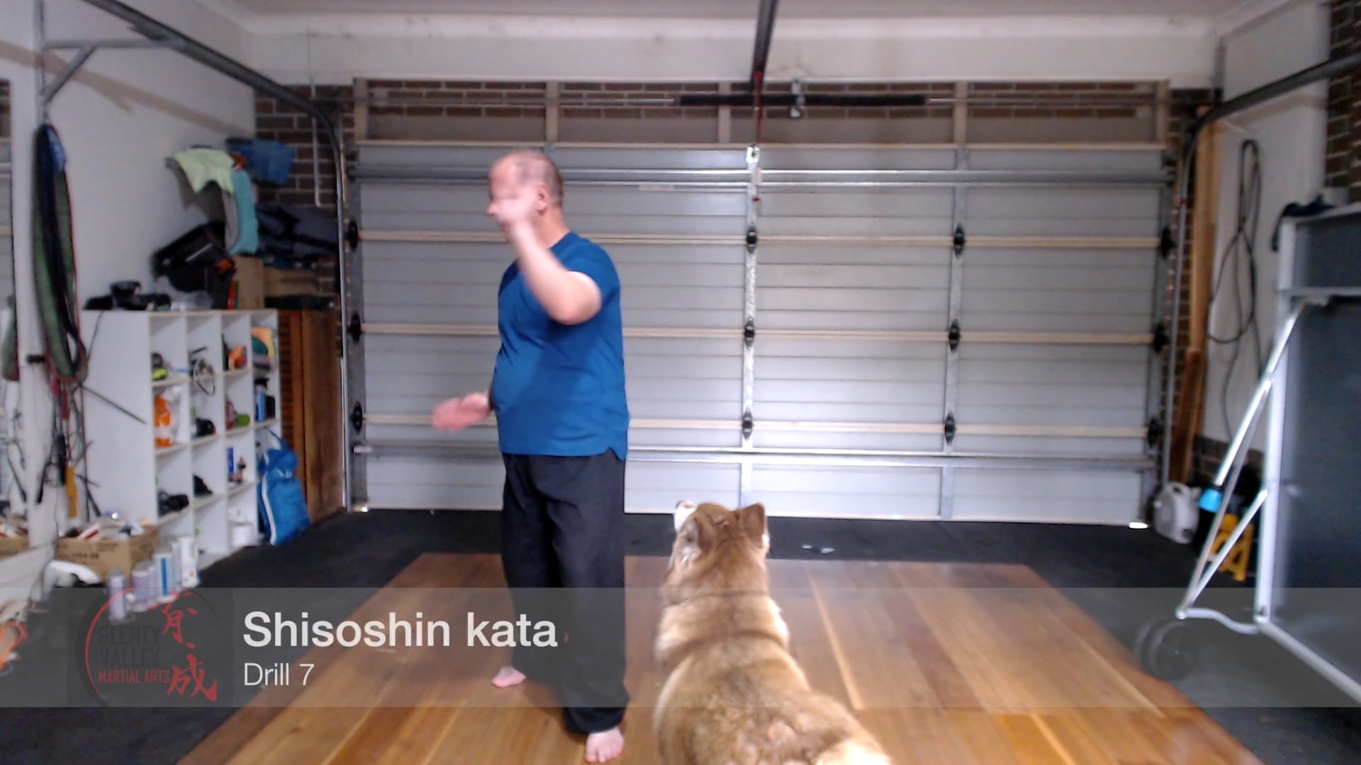 Shisoshin kata - drill 7