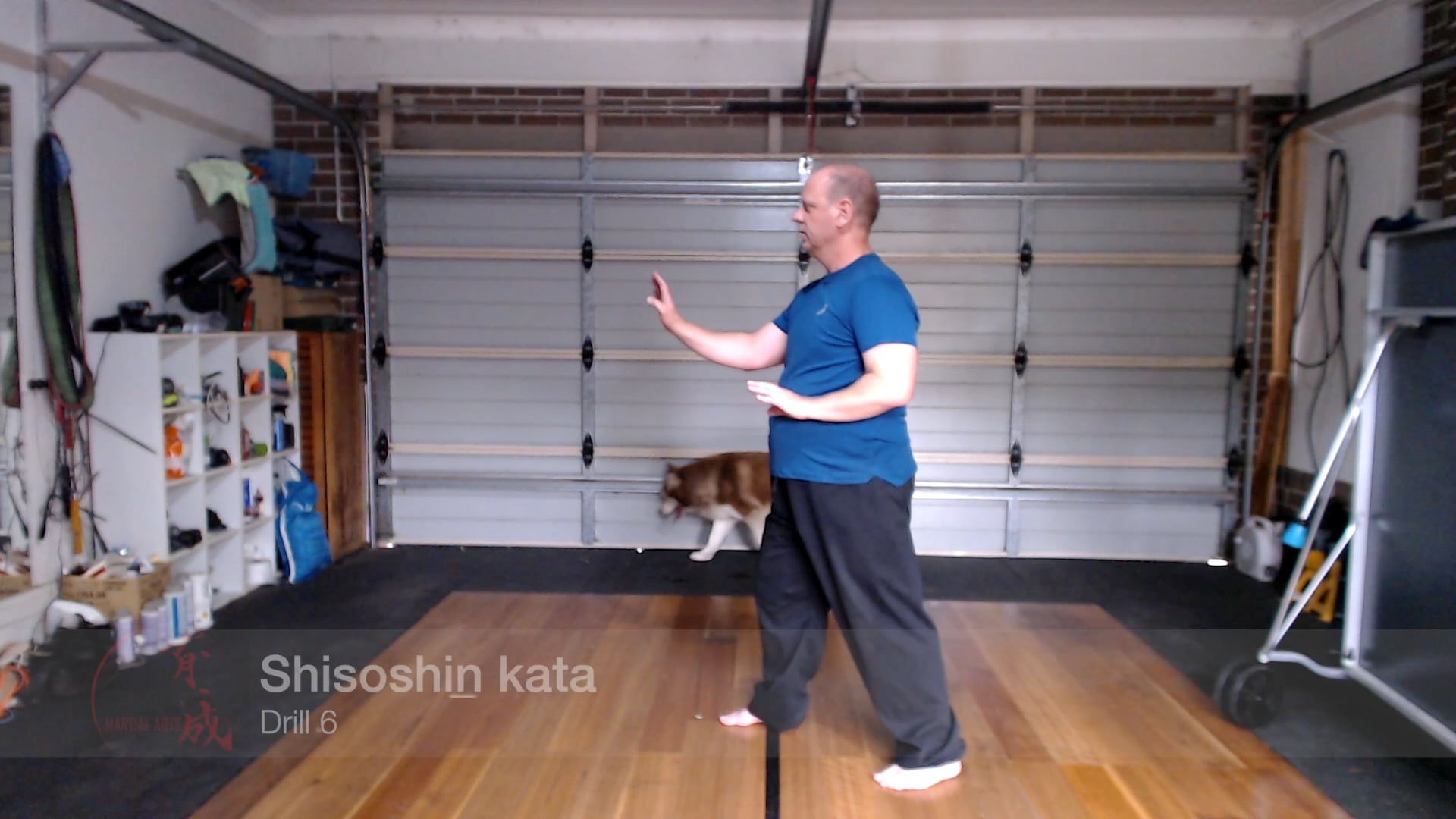 Shisoshin kata - drill 6