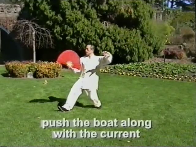 Yang Shi Tai Chi Fan 18