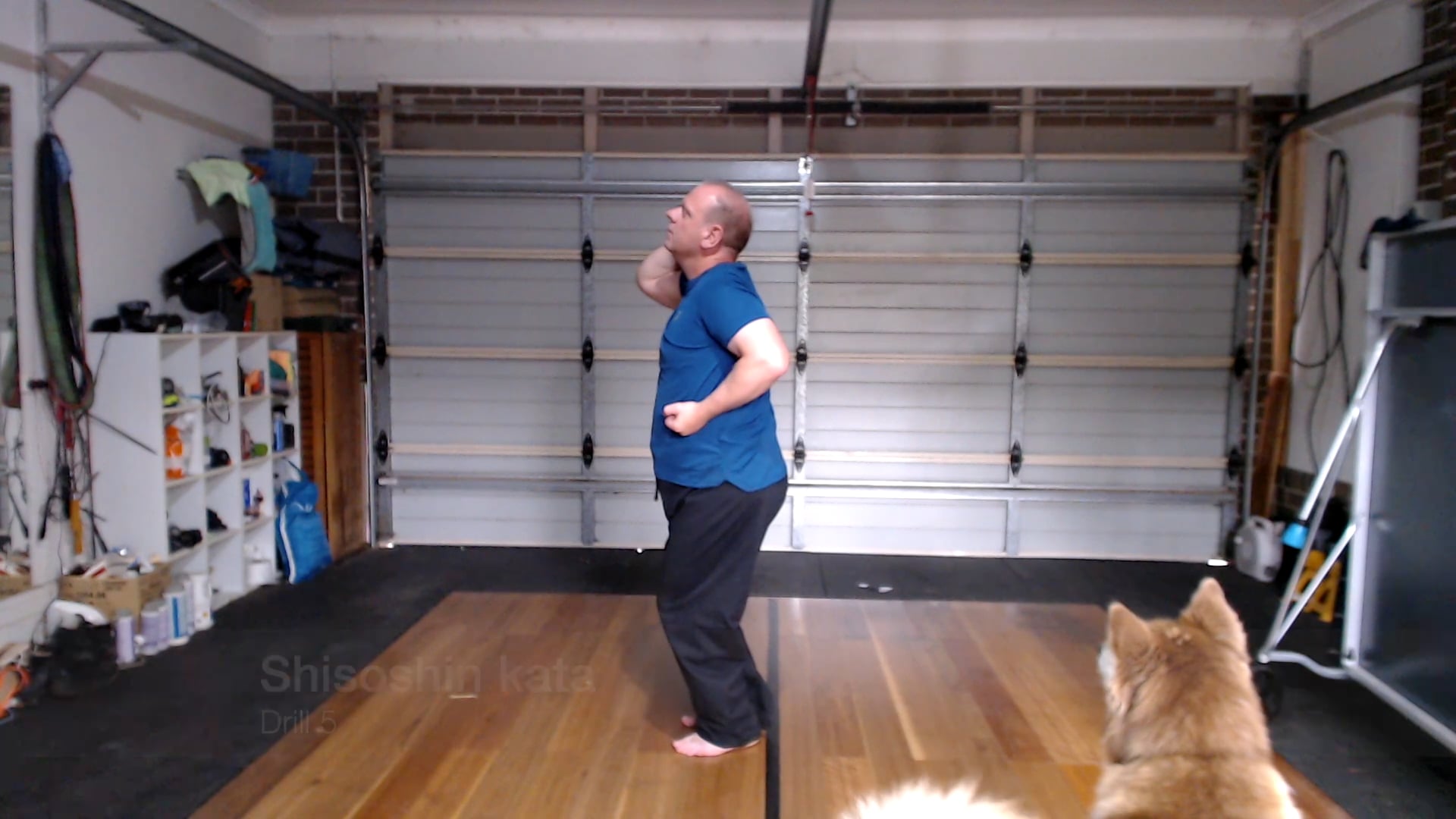 Shisoshin kata - drill 5