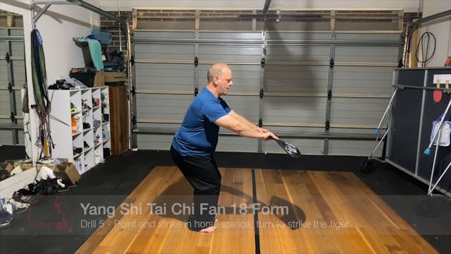 Yang Shi Tai Chi Fan 18 Form - Drill 5