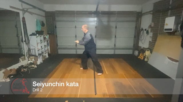 Seiyunchin kata - drill 2