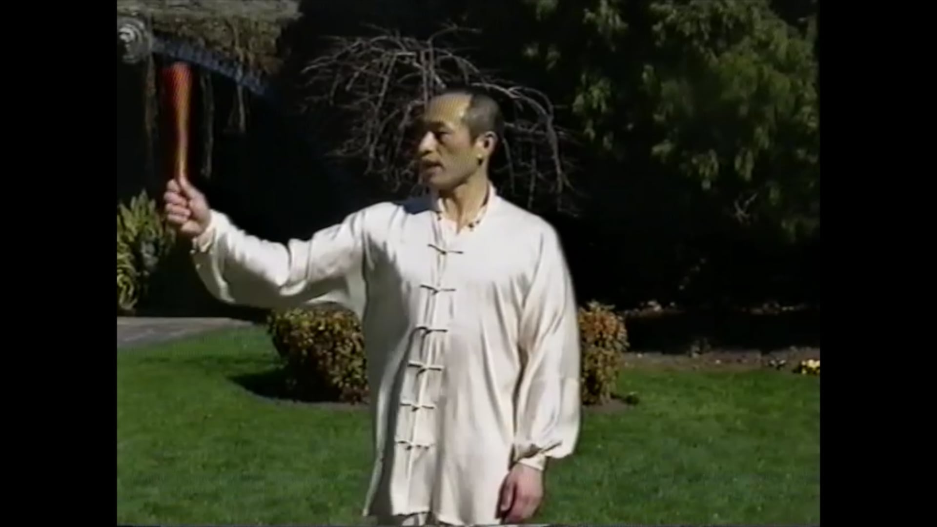 Yang Shi Tai Chi Fan Basic Techniques Trimmed