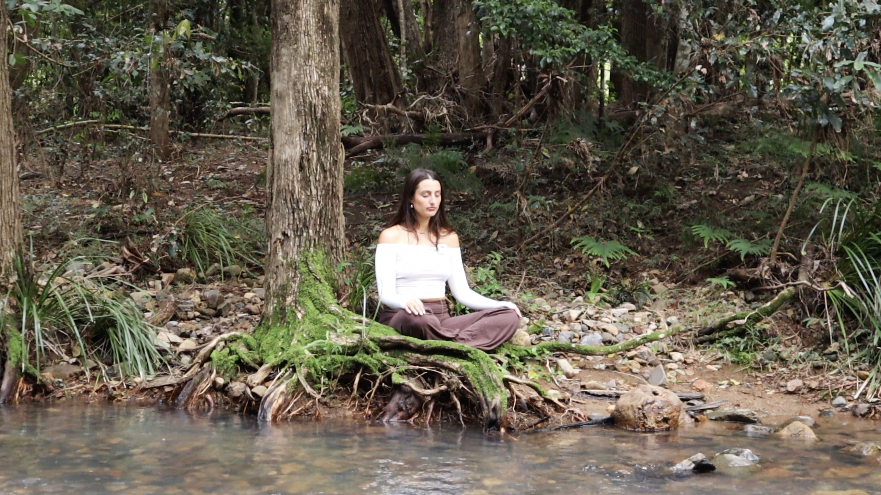 NERVOUS SYSTEM RESET MEDITATION