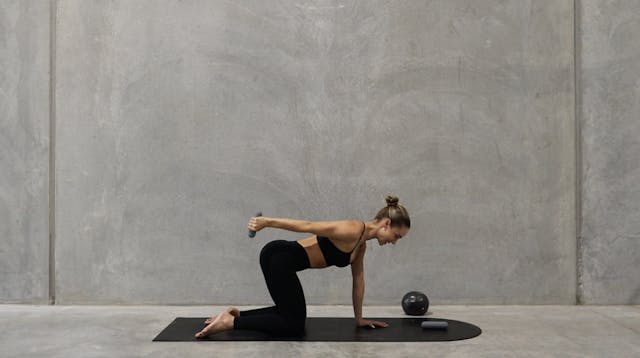 30 MIN ABS & ARMS SCULPT W/ WEIGHTS &...