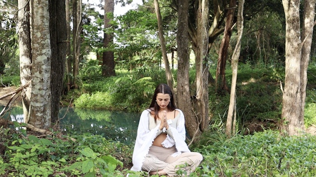 EXPRESS GRATITUDE MEDITATION