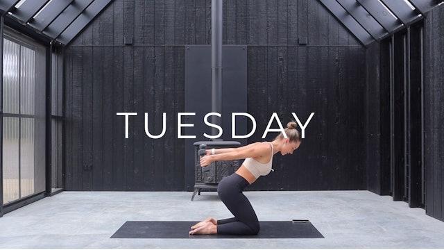 DAY 2 SCULPT - UPPER BODY