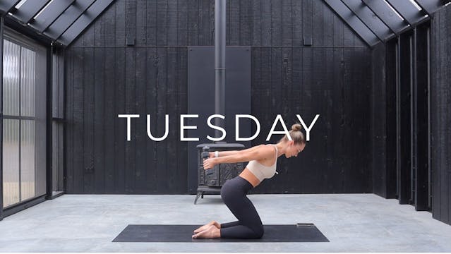 DAY 2 SCULPT - UPPER BODY