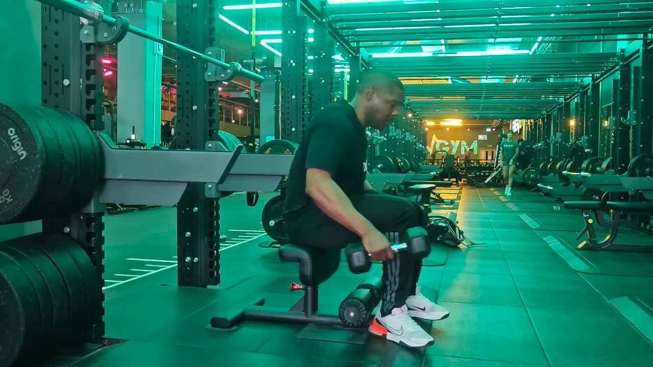 Bulgarian Split Squat