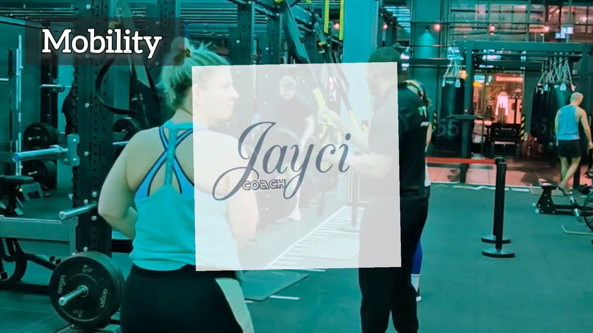TRX Whole Body L2