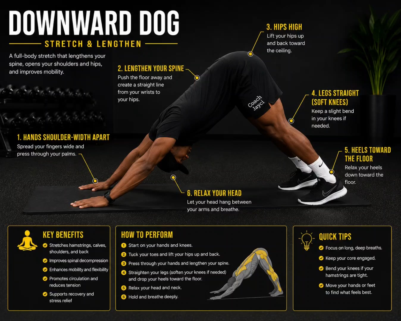 Downward Dog