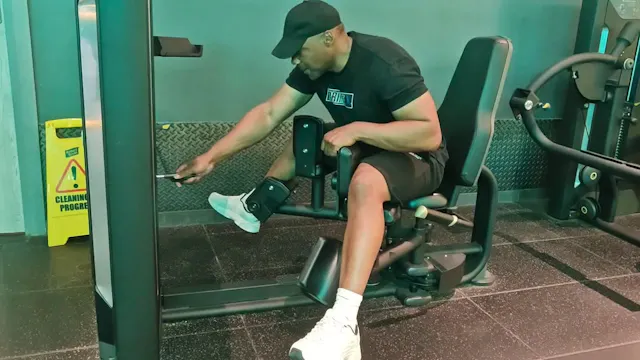 Hip Adductors