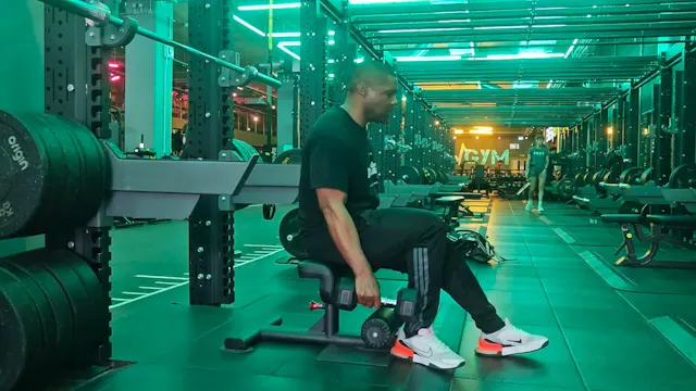 Bulgarian Split Squats