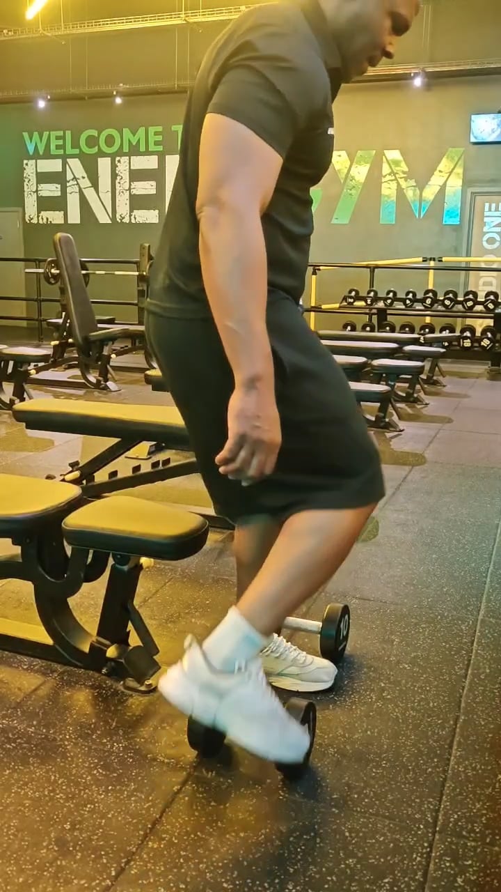 Seated Reverse Flyes