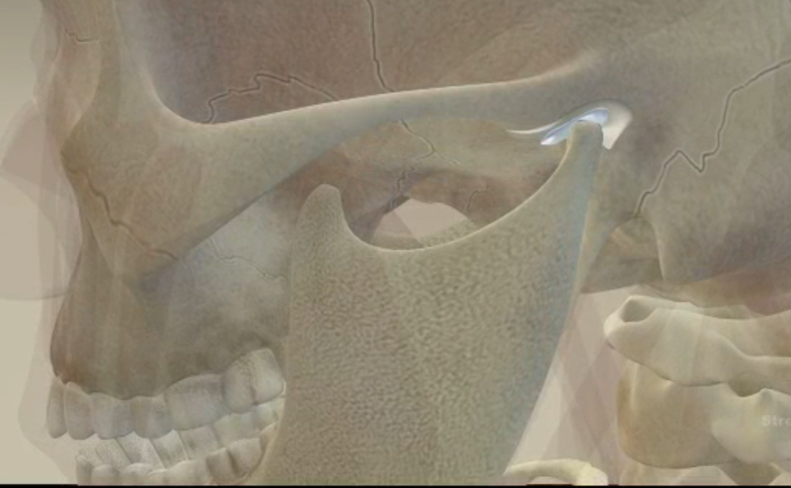 Stretch for Life and Bodyworks Clinic