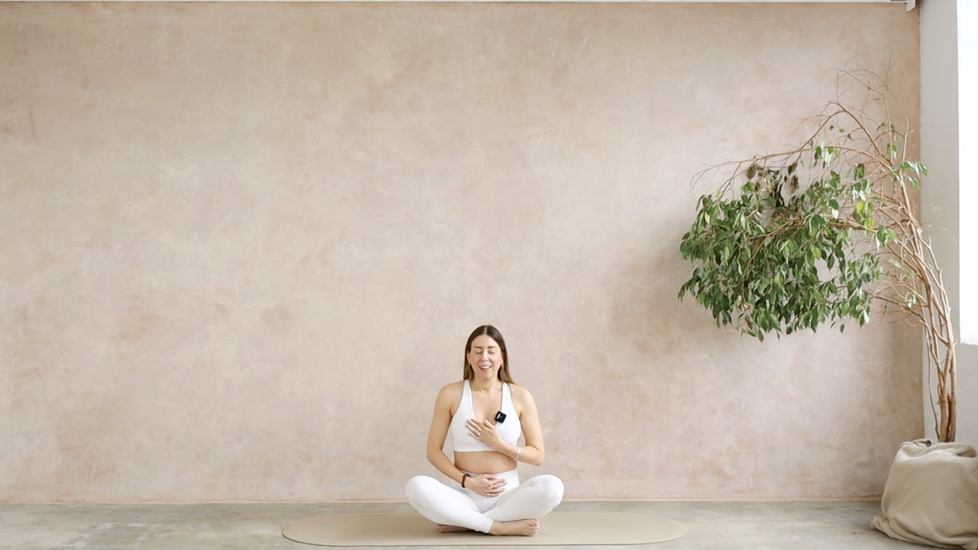 13 MIN PRENATAL CORE AND BREATHWORK