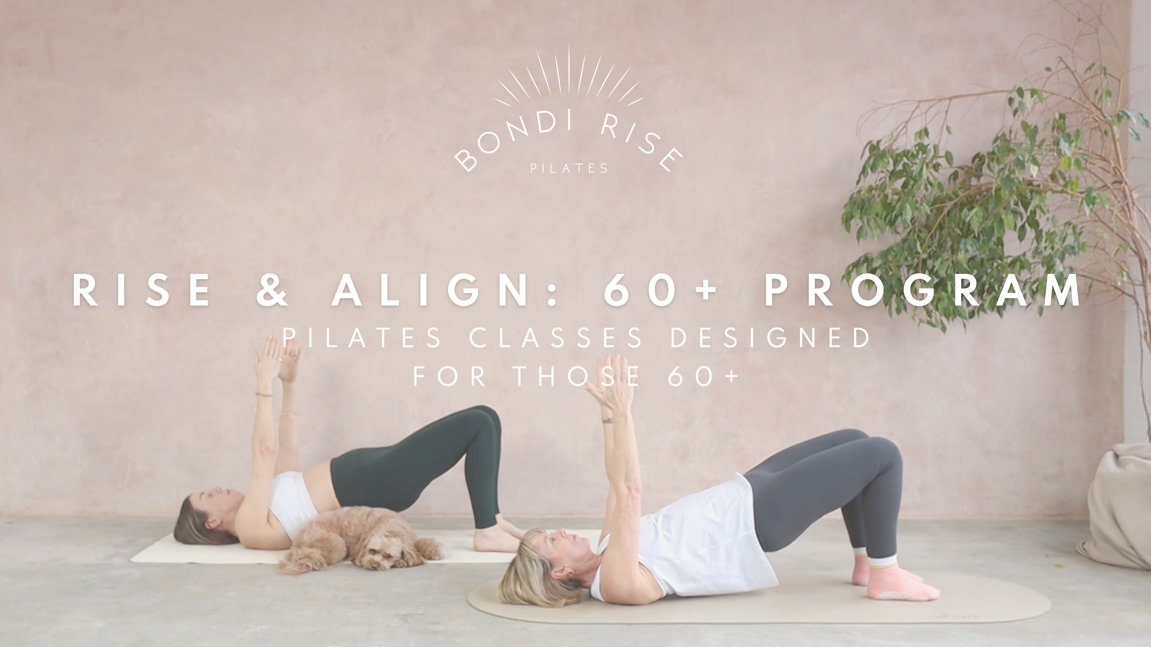 RISE & ALIGN: 60+ PROGRAM