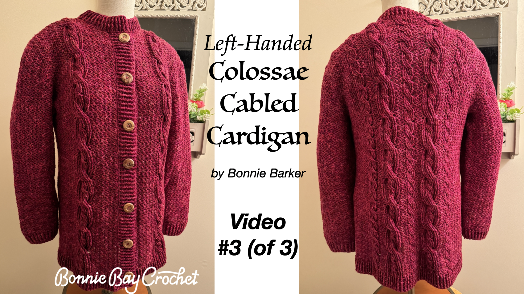 Left-Handed Colossae Cabled Cardigan Part 3: Button Band, Collar & Sleeves