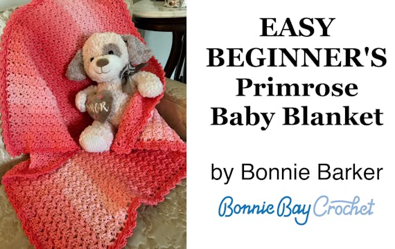 EASY BEGINNER Primrose Baby Blanket