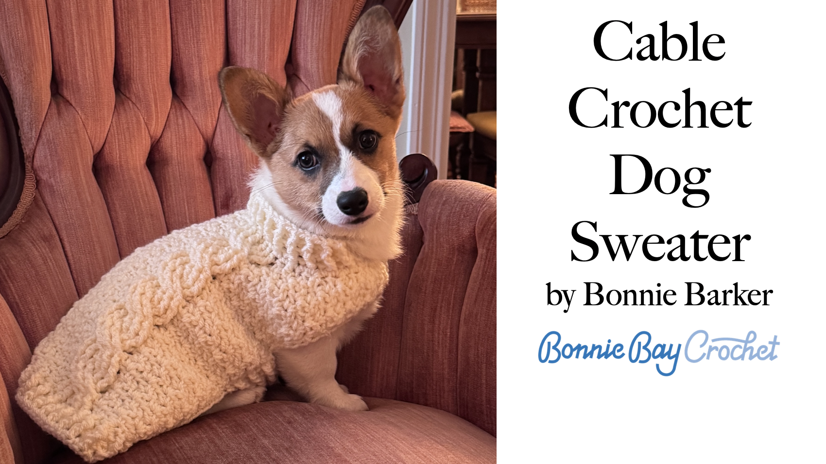 Cable Crochet Dog Sweater