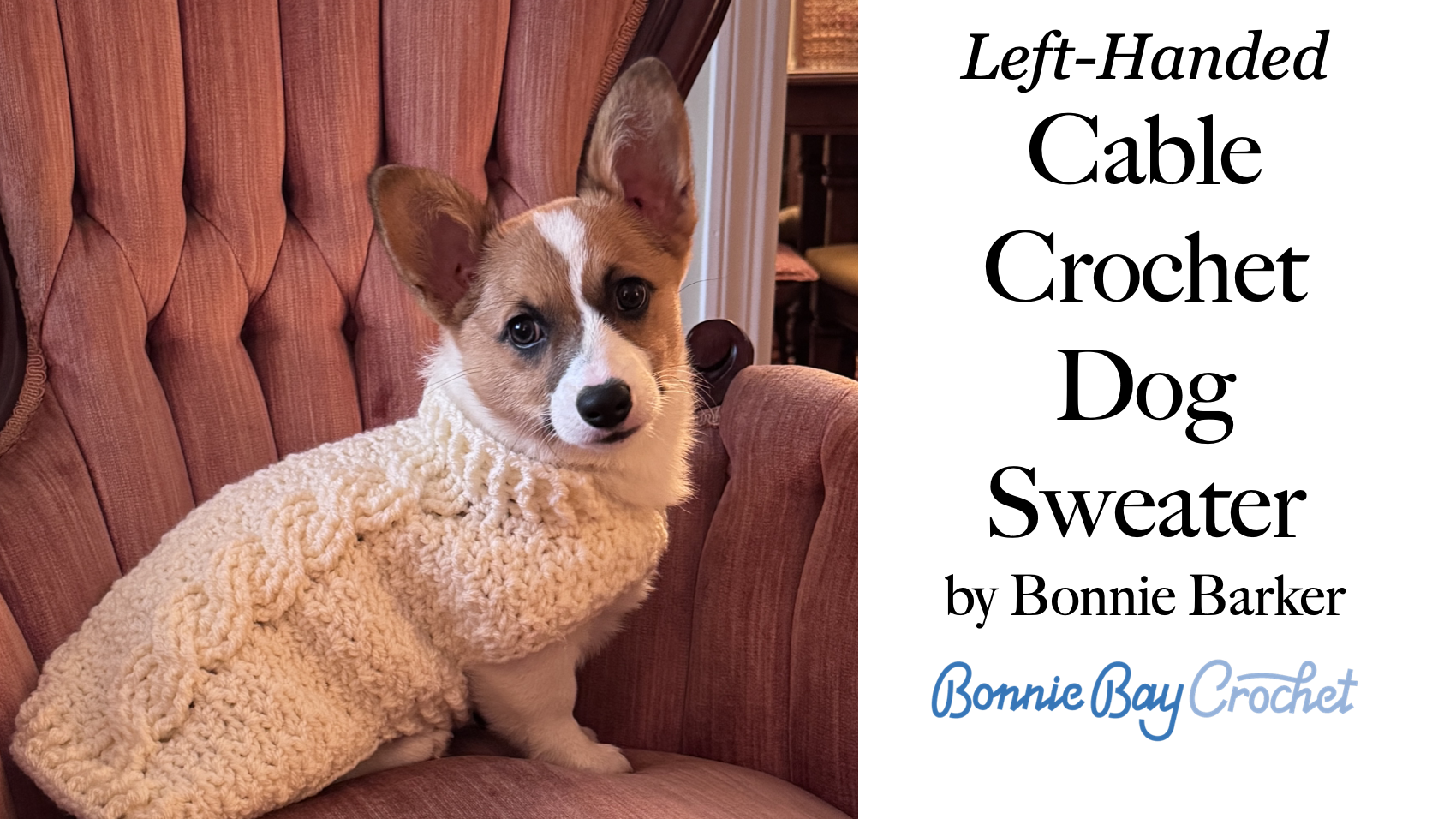 Left-Handed Cable Crochet Dog Sweater