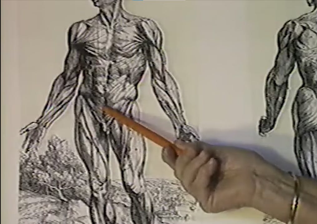 RX Back Pain: Bonnie Prudden Myotherapy