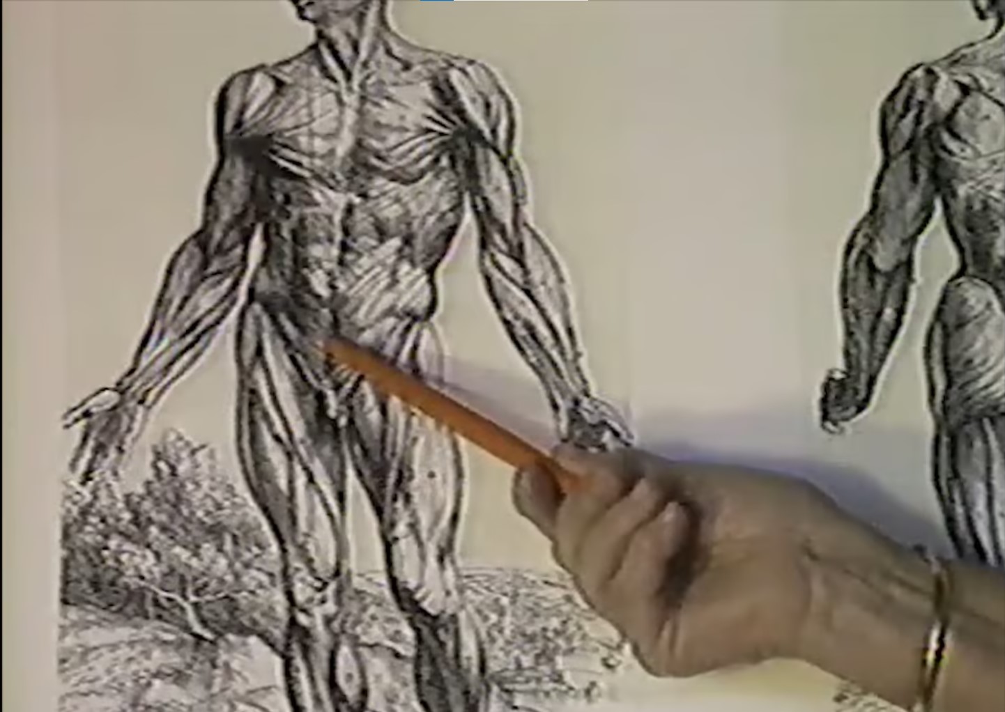 RX Headaches:  Bonnie Prudden Myotherapy