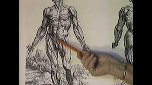 Rx Back Pain:  Bonnie Prudden Myotherapy