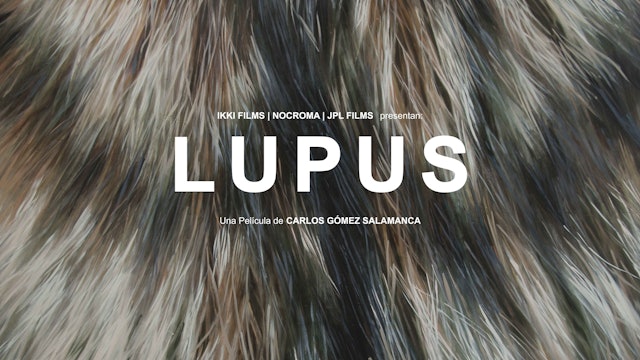 Lupus - Afiche Oficial
