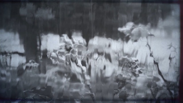 Día 12 - Crónicas de la Cuarentena (Quarantine Chronicles)