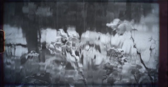 Día 12 - Crónicas de la Cuarentena (Q...