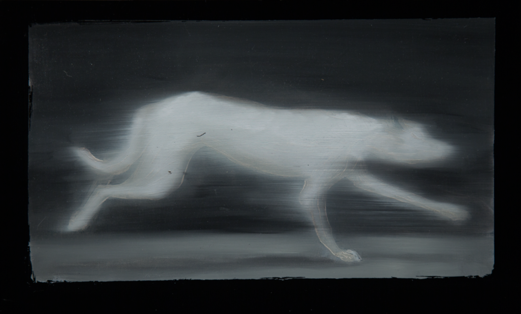 Lupus - Desarrollo Gráfico