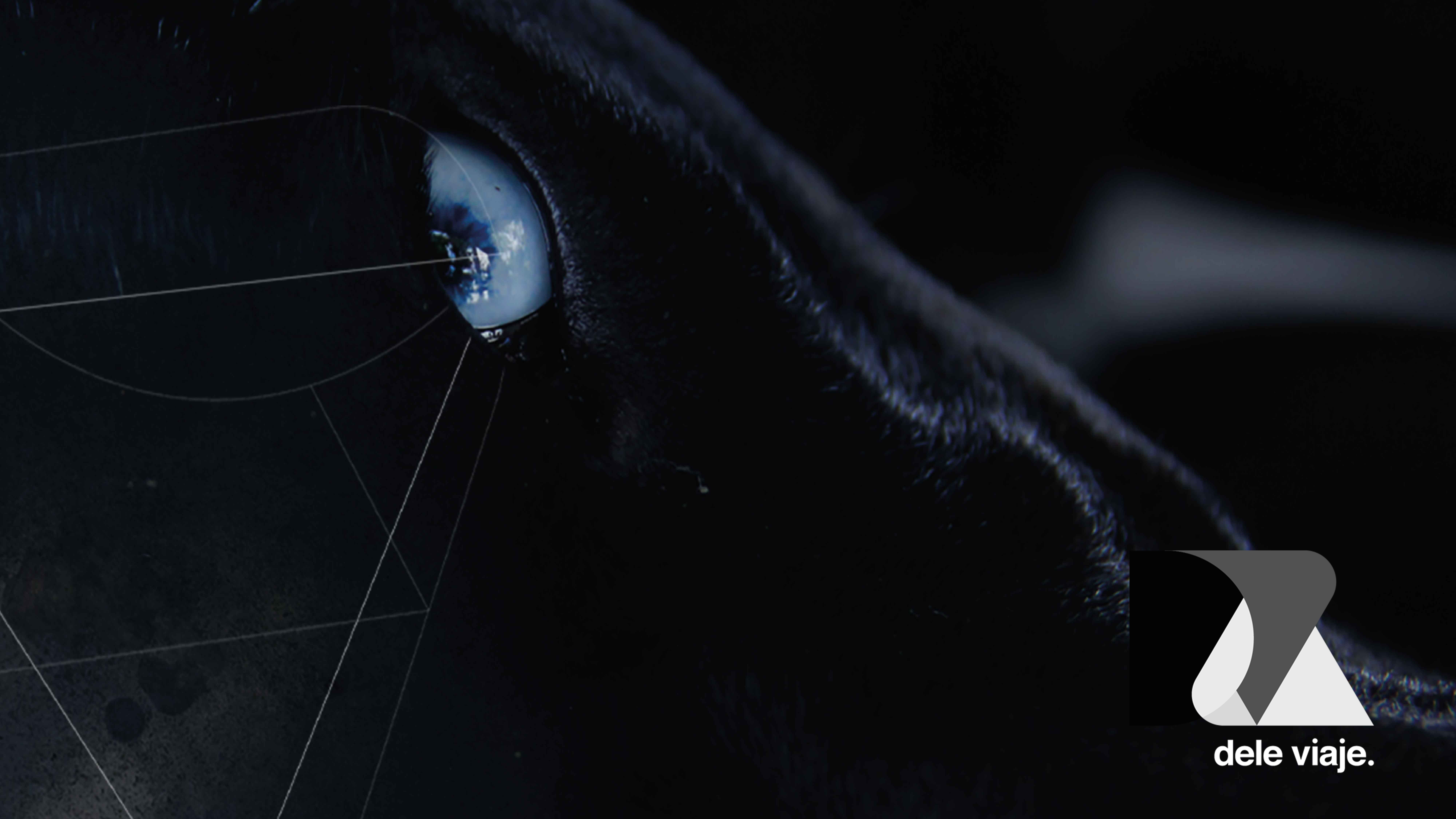 Dele viaje 2.0 - Trailer