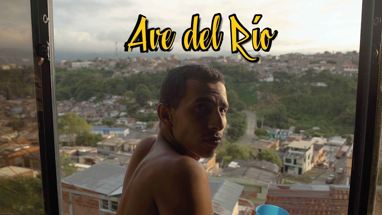 Ave del río - Largometraje